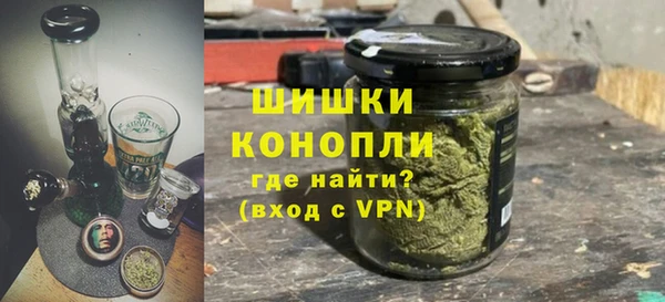 PSILOCYBIN Горно-Алтайск