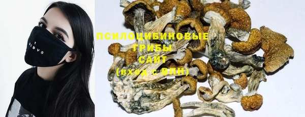 PSILOCYBIN Горно-Алтайск