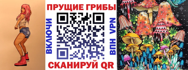 закладки  Зея  Галлюциногенные грибы Magic Shrooms 